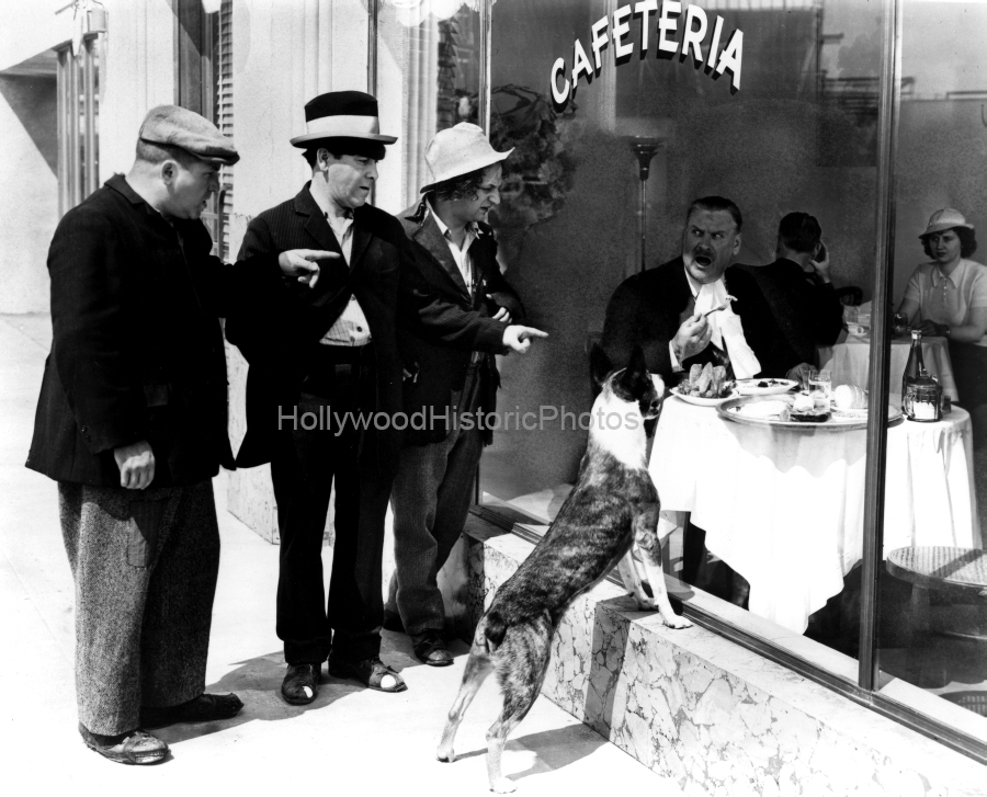 Three Stooges Columbia Pictures 1 WM.jpg